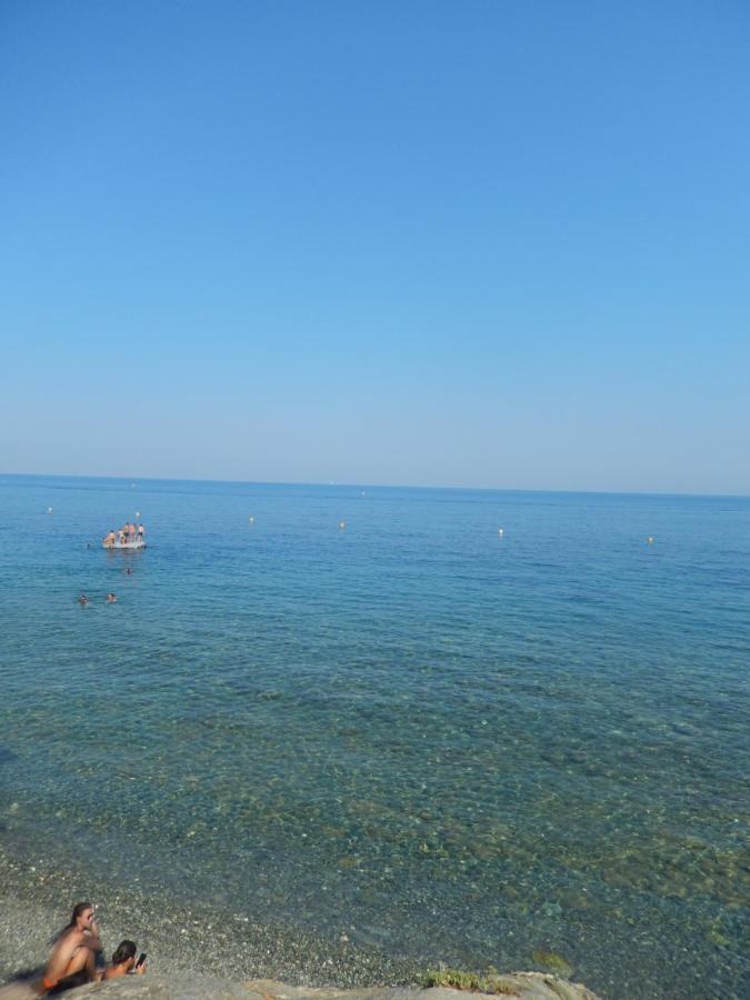 Erbalunga - Residence Les Bosquets - Cap Corse Location Brando Bagian luar foto