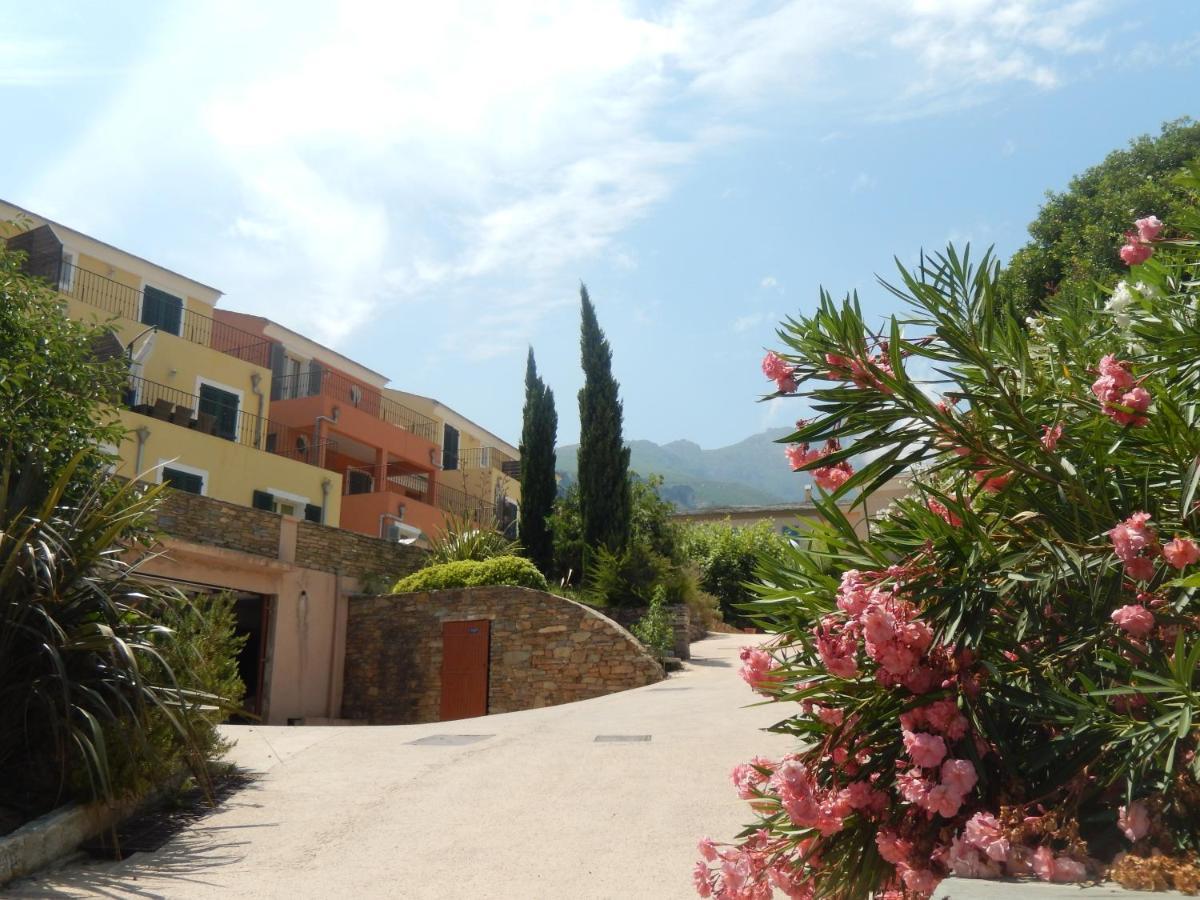 Erbalunga - Residence Les Bosquets - Cap Corse Location Brando Bagian luar foto